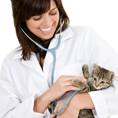 Animal Wellness Center has vet offices in Royal Palm Beach & Fort Lauderdale Florida