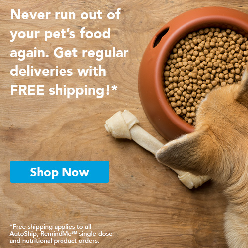 VetSource VetSource