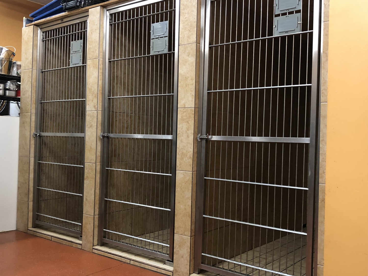 Animal Wellness Center Indoor Kennels