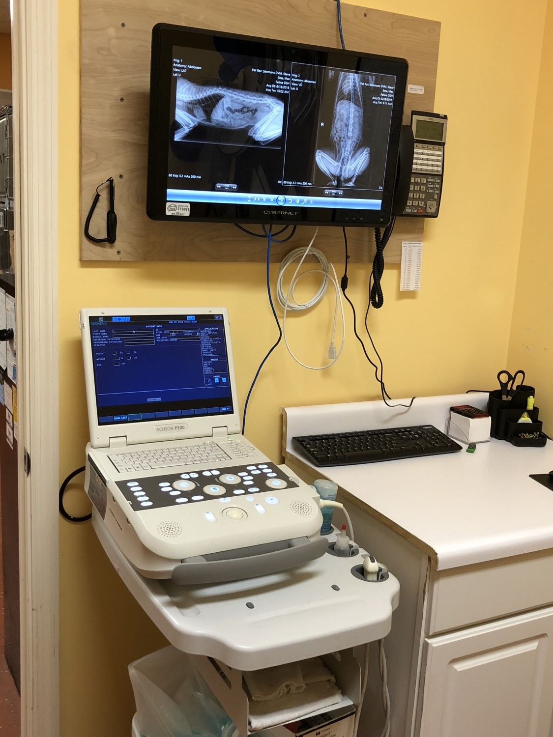 Animal Wellness Center Ultrasound