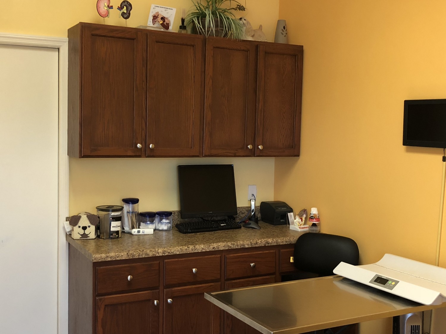 Animal Wellness Center Exam Room