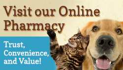 Vet's First Choice Vet's First Choice